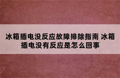 冰箱插电没反应故障排除指南 冰箱插电没有反应是怎么回事